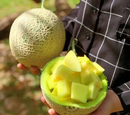 娱乐168吃瓜,揭秘娱乐圈最新吃瓜事件，带你领略明星幕后故事  第1张